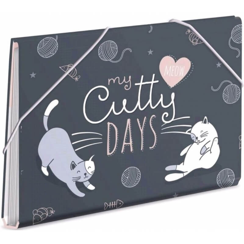Carpeta gatitos