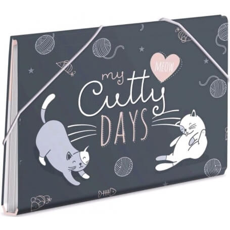 Carpeta gatitos