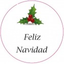 Bote de gel hidroalcohólico anti covid 19 para navidad personalizable