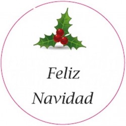 Bote de gel hidroalcohólico anti covid 19 para navidad personalizable