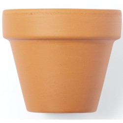 Maceta para plantar petunias