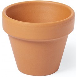 Maceta para plantar petunias