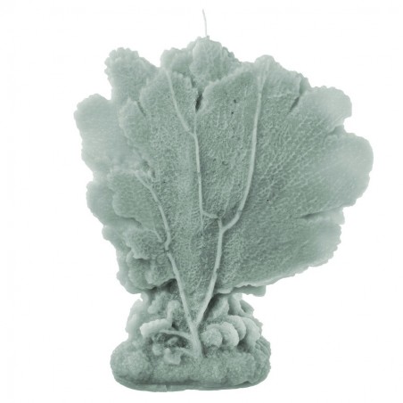 Vela decorativa marina turquesa 18 50 x 7 70 x 23 cm