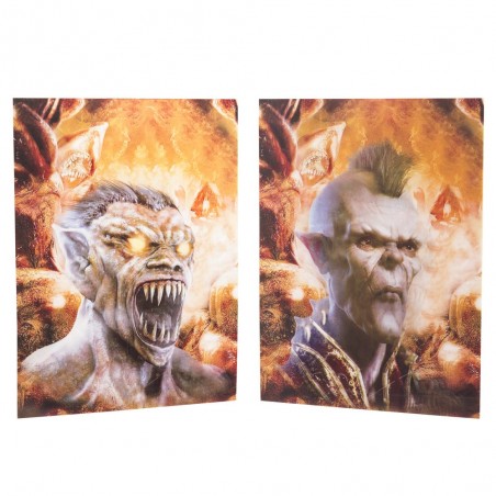 Póster 3d lenticular pet 39 50 x 0 20 x 40 cm