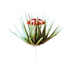 Setas con hojas plastico