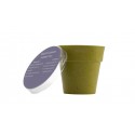 Macetas biodegradables
