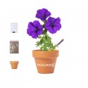 Maceta para plantar petunias