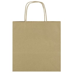Bolsa papel gift 22x23x10