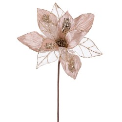 Poinsettia tejido champán 50 x 30 cm