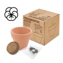 Maceta terracota semillas