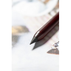 Lápiz eterno reutilizable y sin residuos