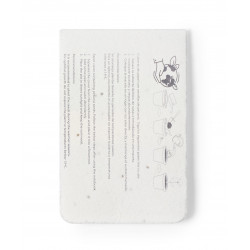 Bloc notas con papel plantable de semillas amenti