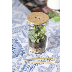 Terrarium anymak