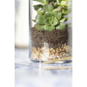 Terrarium anymak