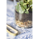 Terrarium anymak