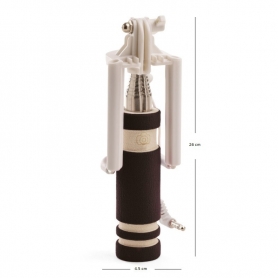 Palo selfie económico