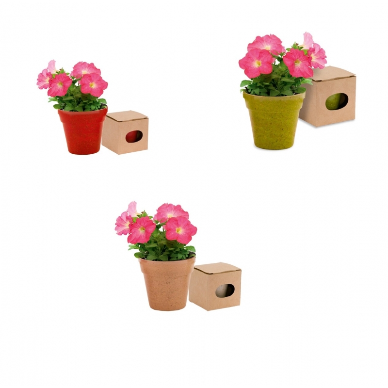 Macetas biodegradables