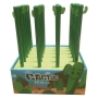 Lápiz cactus